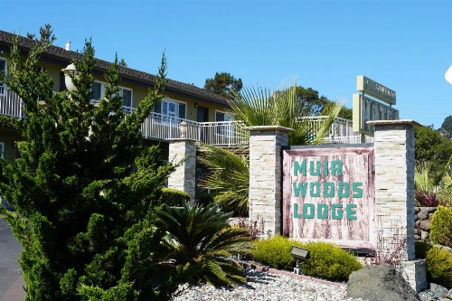 Muir Woods Lodge image 28